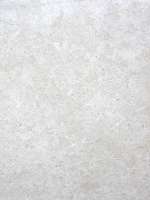 ../photos/Italian natural marbles/pearl white.JPG